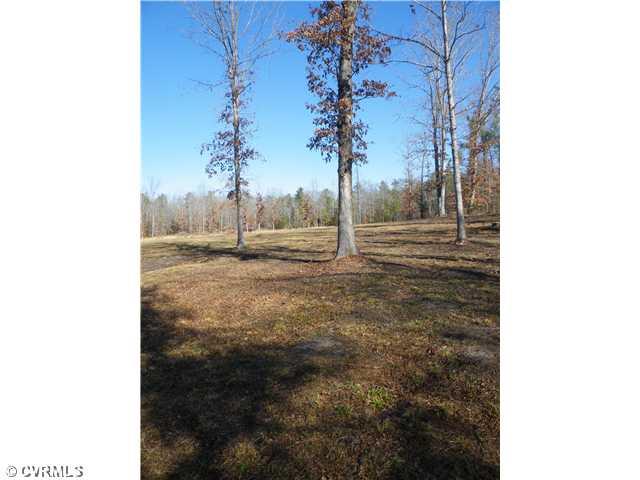 17410 Duval Road Moseley, VA 23120 - Photo 10 of 12 Land/Lot