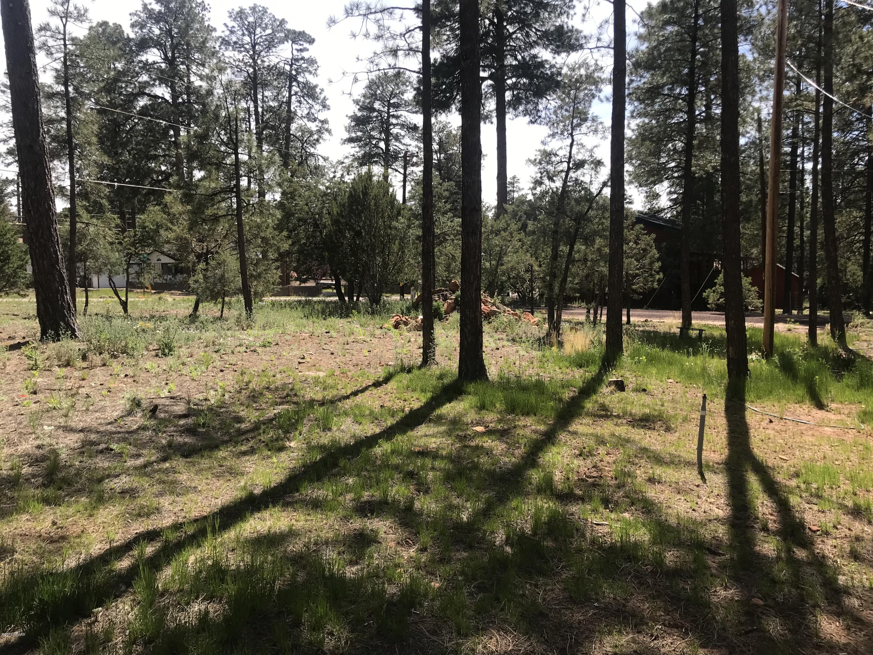 2883 Belle Road Overgaard, AZ 85933 - Photo 12 of 13 a view of yard with tree