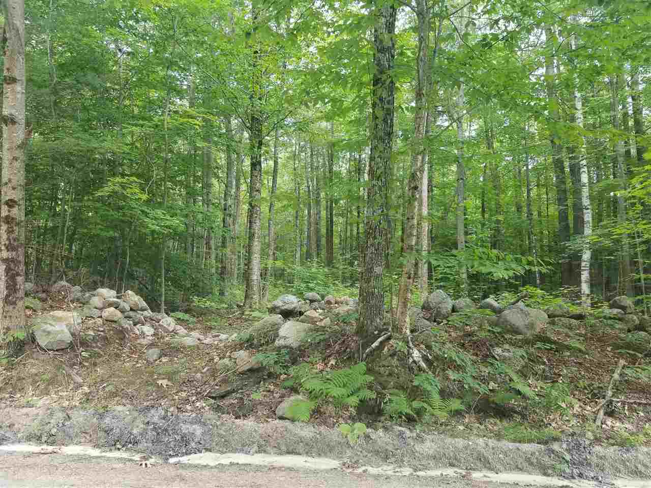 Fletcher Road Croydon, NH 03773 - Photo 1 of 3