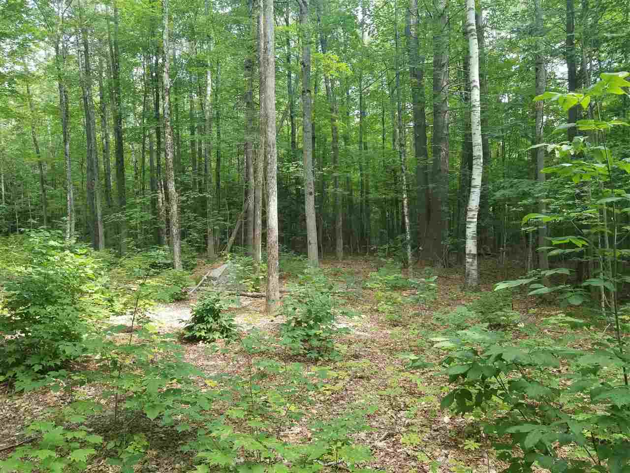 Fletcher Road Croydon, NH 03773 - Photo 2 of 3