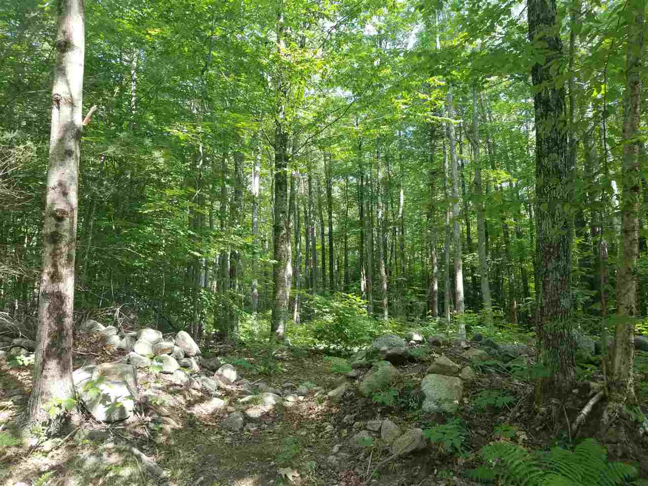 Fletcher Road Croydon, NH 03773 - Photo 3 of 3