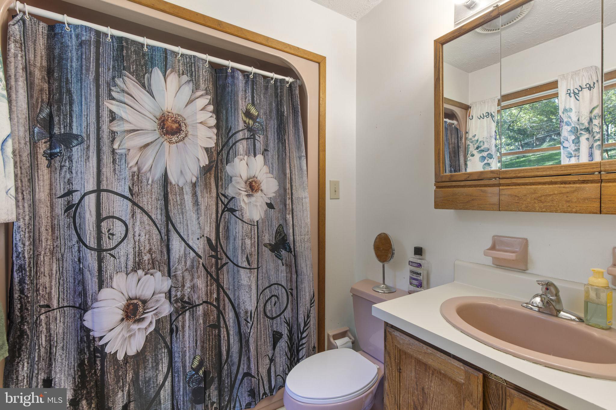 62 Porters Bridge Road Colora, MD 21917 - Photo 12 of 29 a bathroom with a toilet sink and mirror
