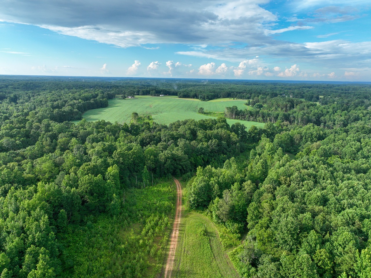 0 West Hollow Road Goodspring, TN 38460 - Photo 65 of 99
