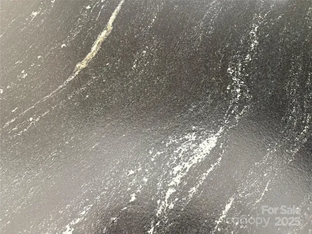 a close up of a tree