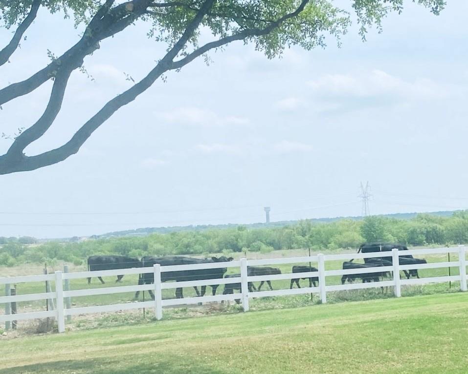 9221 Perimeter Street Denton, TX 76207 - Photo 34 of 36 a view of a big yard with plants and large trees