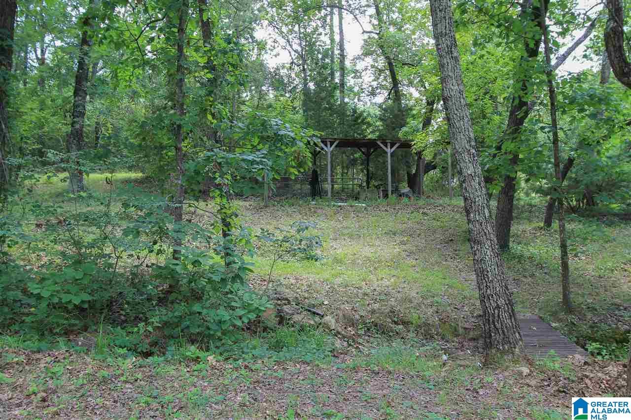 331 Powell Road Remlap, AL 35133 - Photo 36 of 47 Gallery Image 36