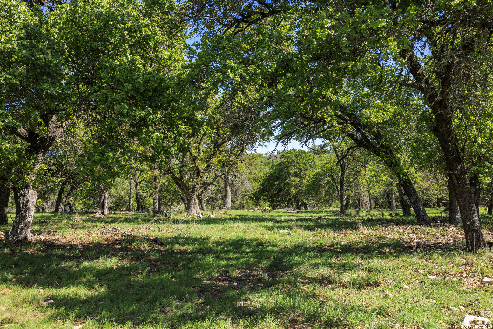 283 Dally Road Comfort, TX 78013 - Photo 1 of 12 a view of outdoor space with deck and yard