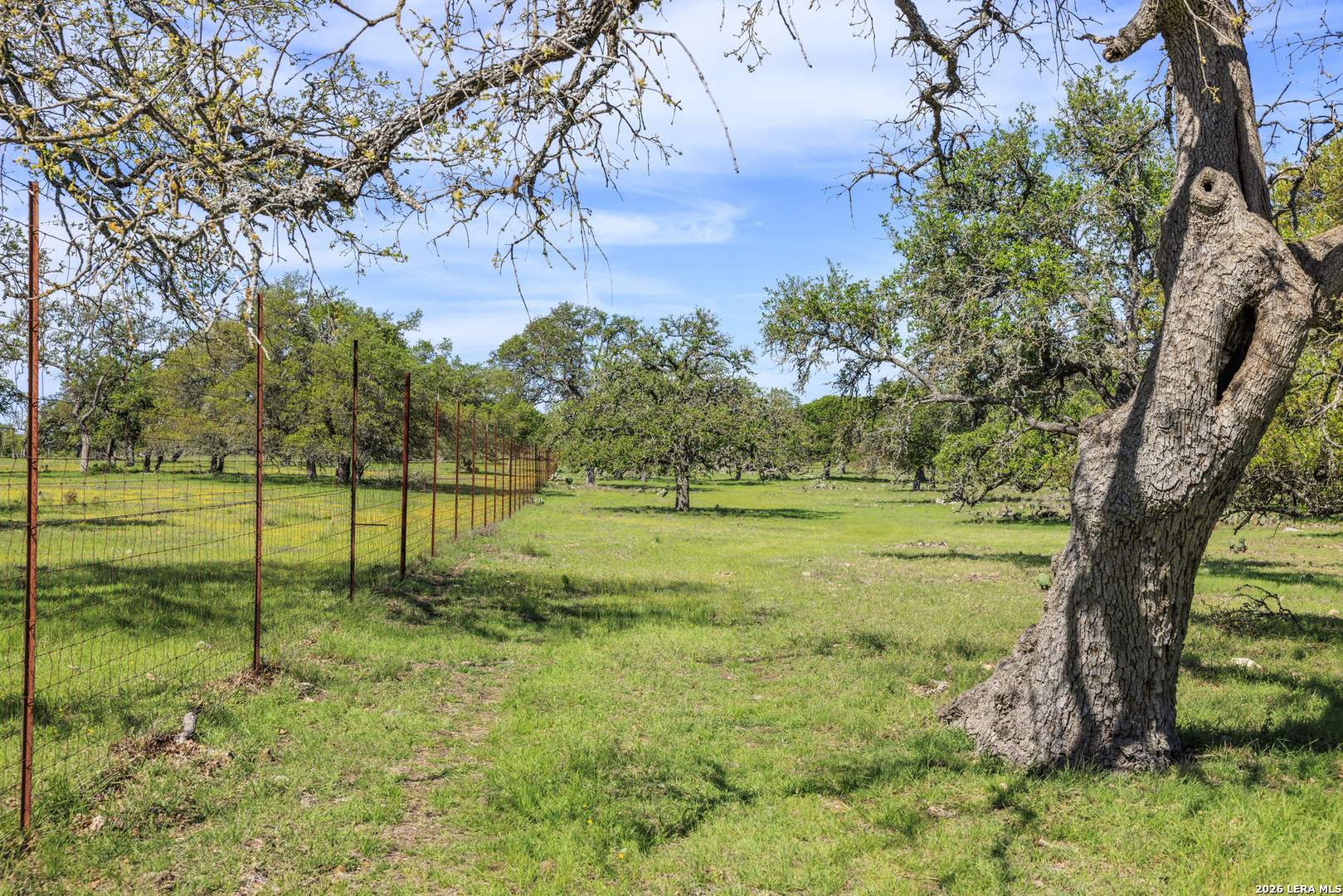 283 Dally Road Comfort, TX 78013 - Photo 11 of 12 a view of a garden with a tree
