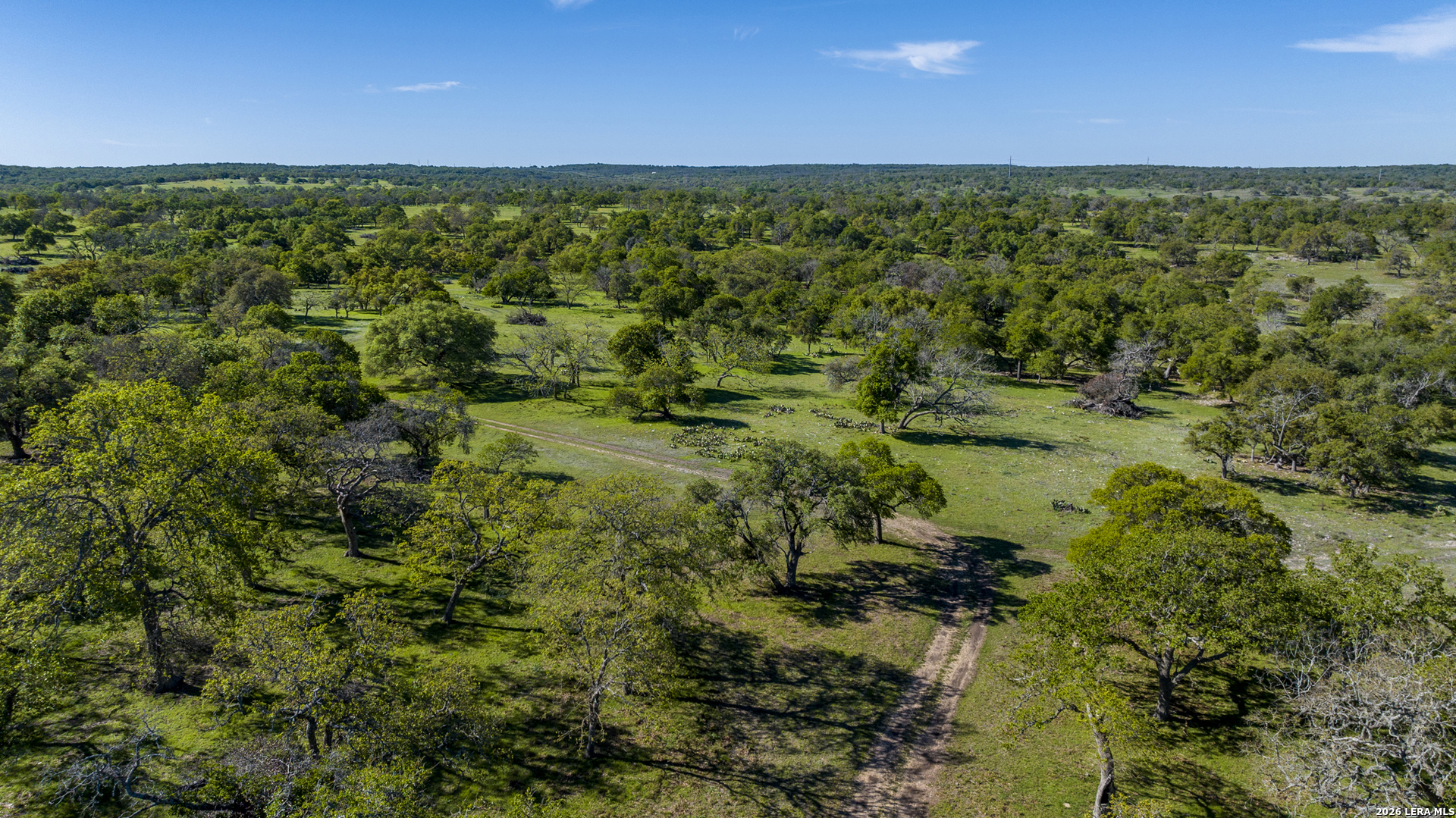 283 Dally Road Comfort, TX 78013 - Photo 5 of 12 a view of a yard with an outdoor space