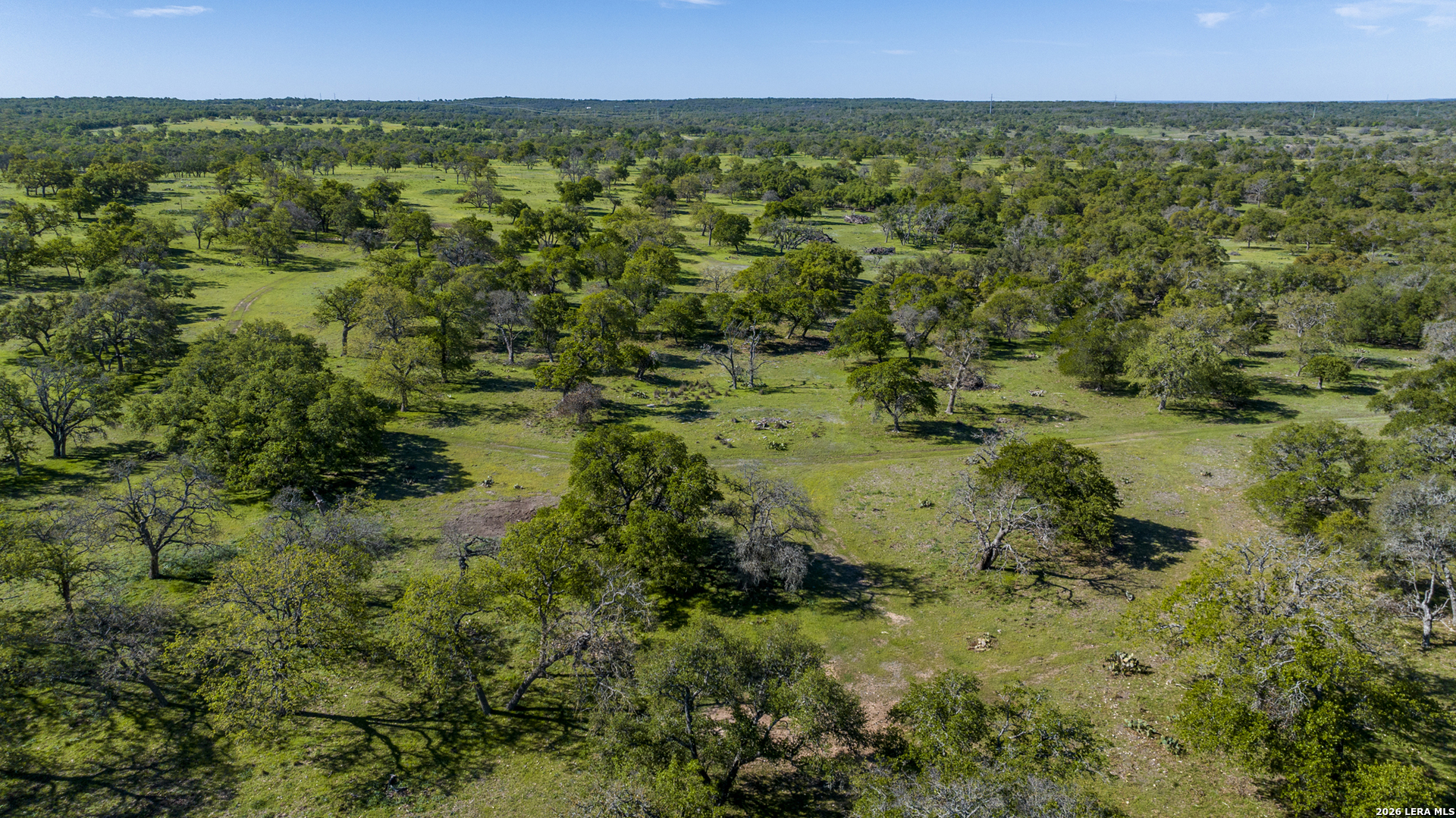 283 Dally Road Comfort, TX 78013 - Photo 6 of 12 a view of a lush green field