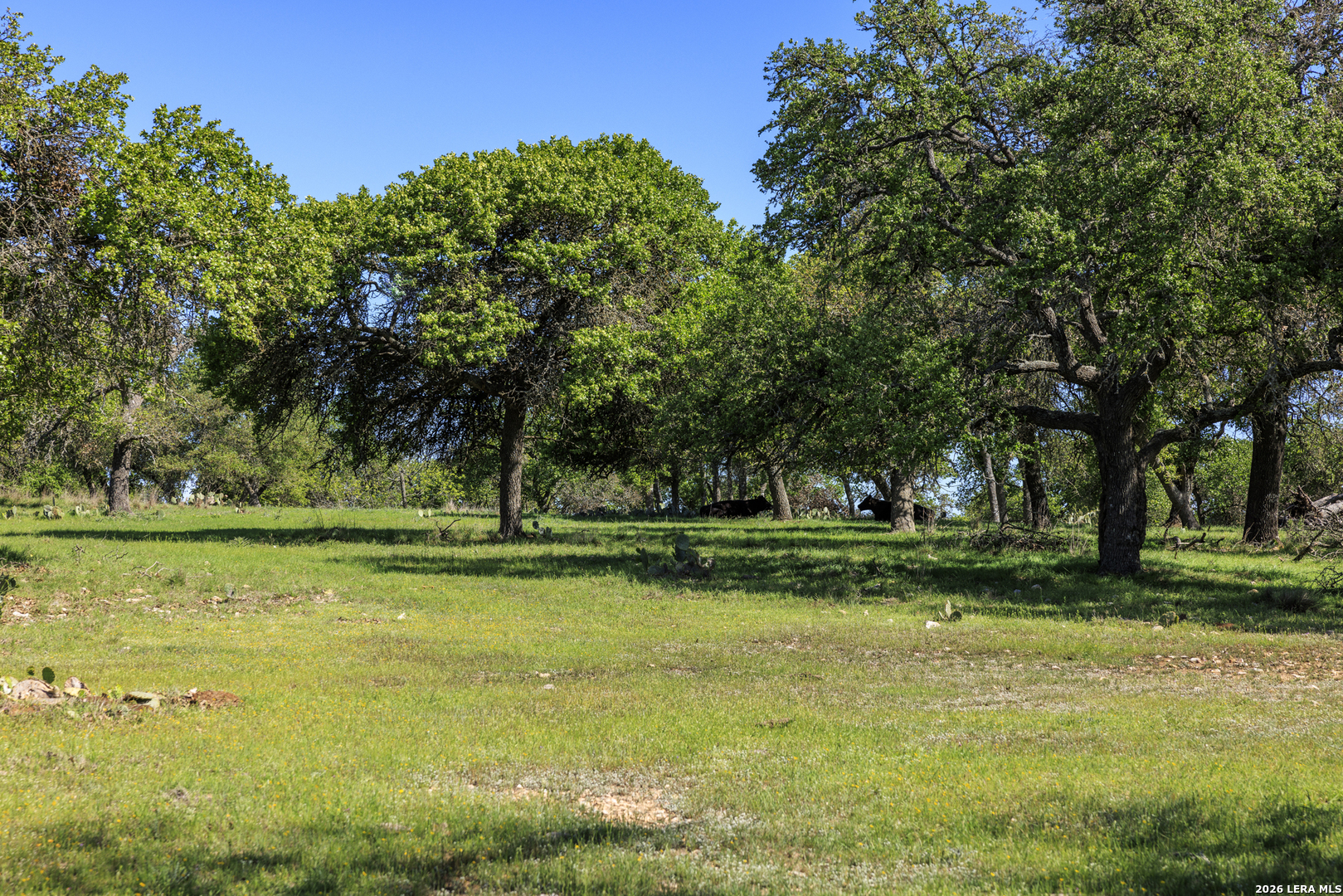 283 Dally Road Comfort, TX 78013 - Photo 8 of 12 a view of a golf course with a lake view