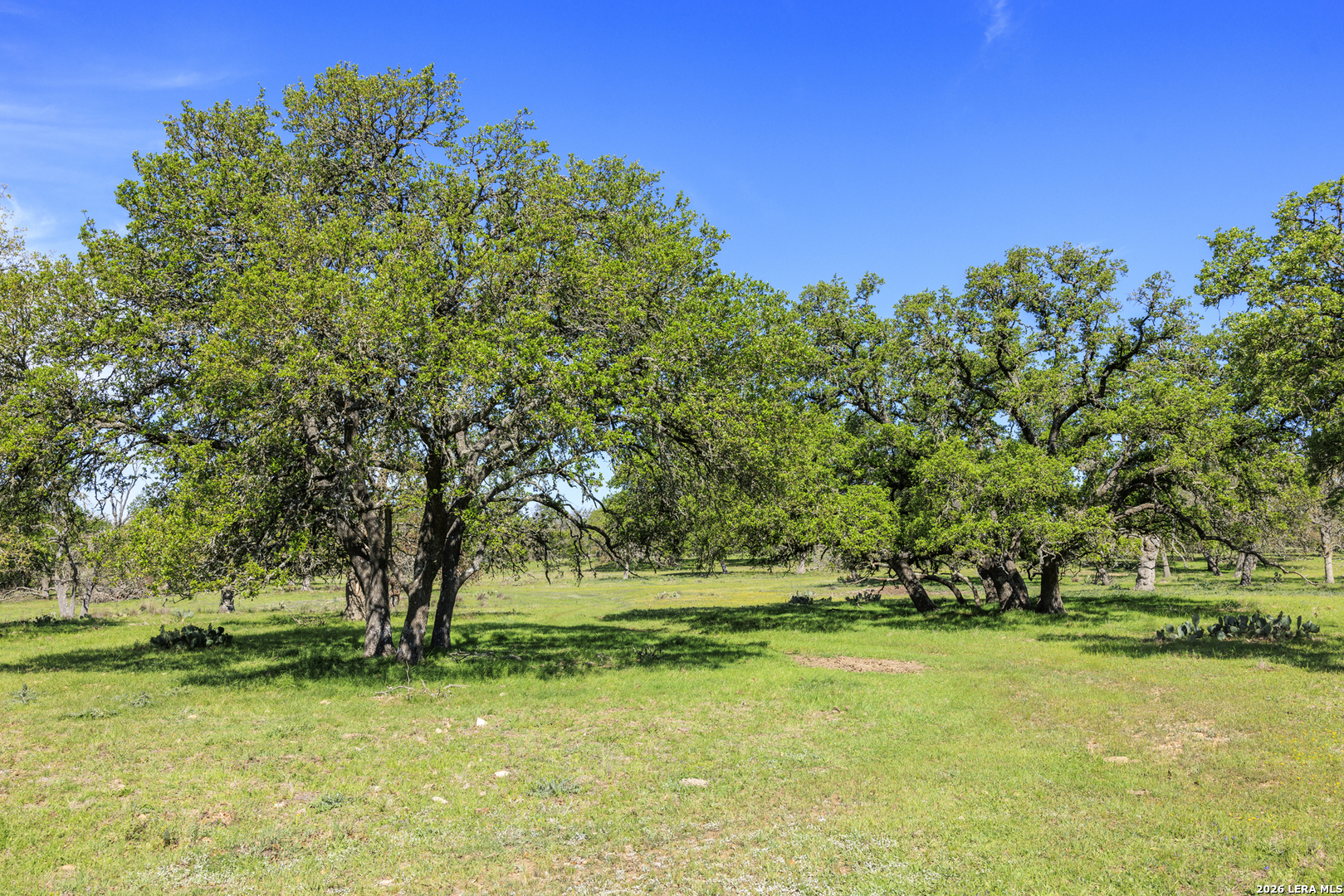 283 Dally Road Comfort, TX 78013 - Photo 10 of 12 a view of outdoor space with a garden