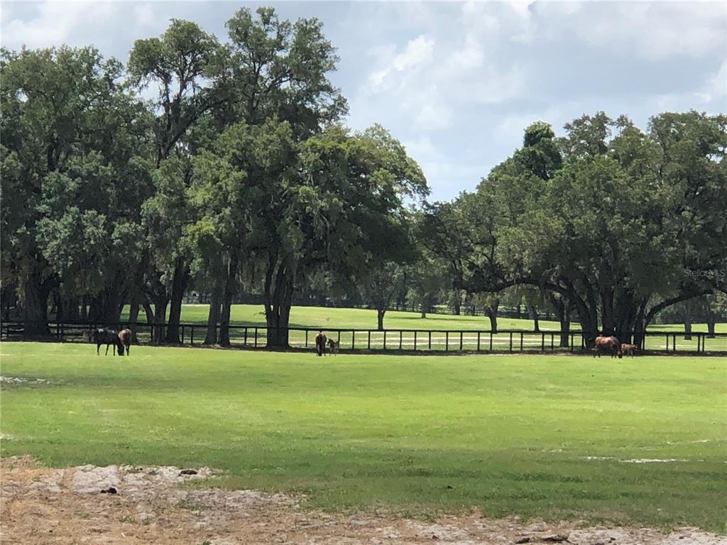 30th Street Morriston, FL 32668 - Photo 2 of 5