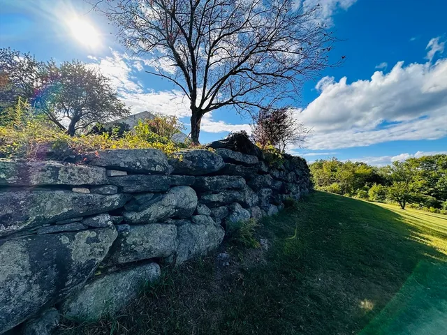 a view of a yard in front of the house