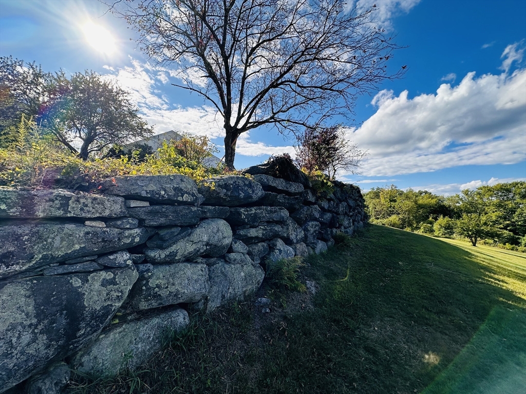 1107 Jackson Road Hardwick, MA 01037 - Photo 5 of 42 a view of a yard in front of the house