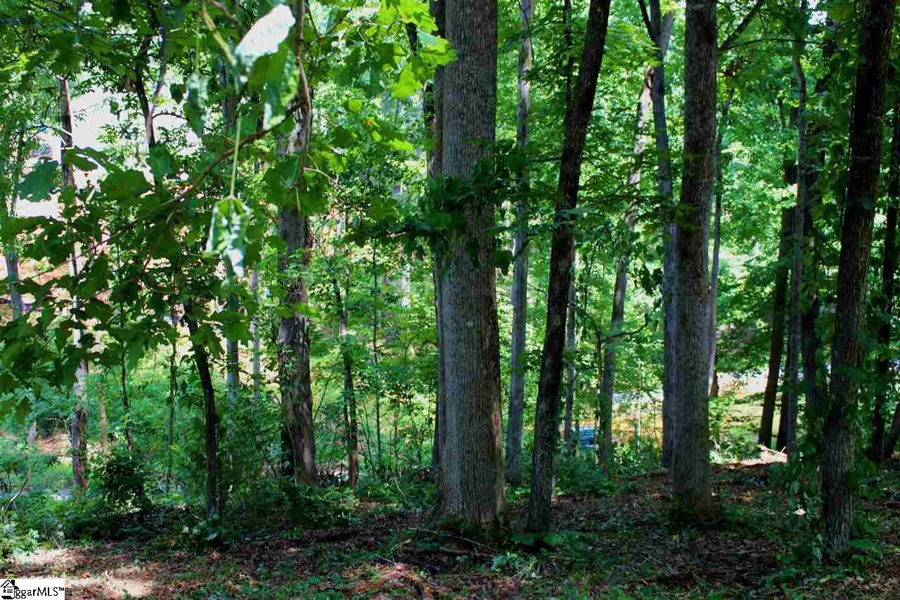15 Luther Land Road Seneca, SC 29672 - Photo 22 of 36 Gallery Image 22