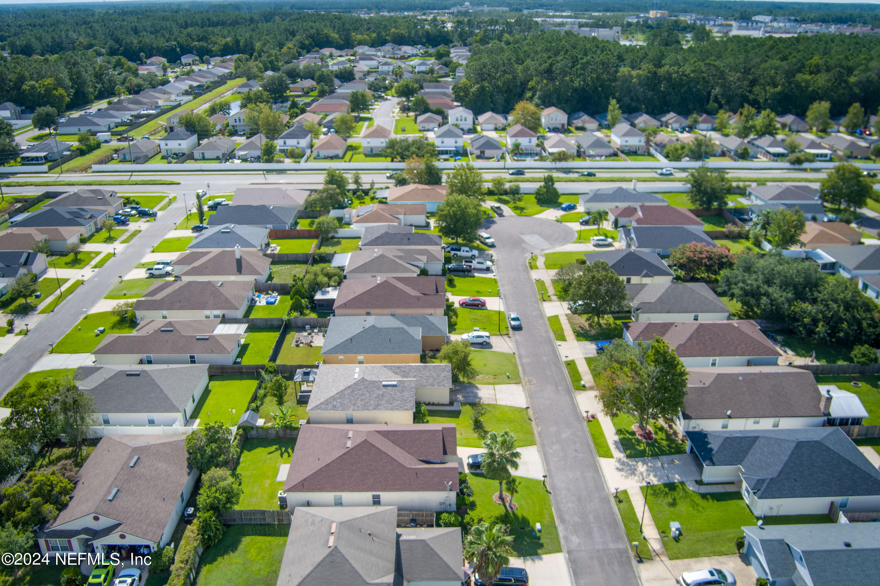 1409 Runes Court Middleburg, FL 32068 - Photo 39 of 47 ISO Perfect 1409 Runes Ct Middleburg FL