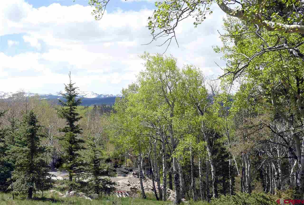 151 Ridge Road Cimarron, CO 81220 - Photo 1 of 6 Gallery Image 1