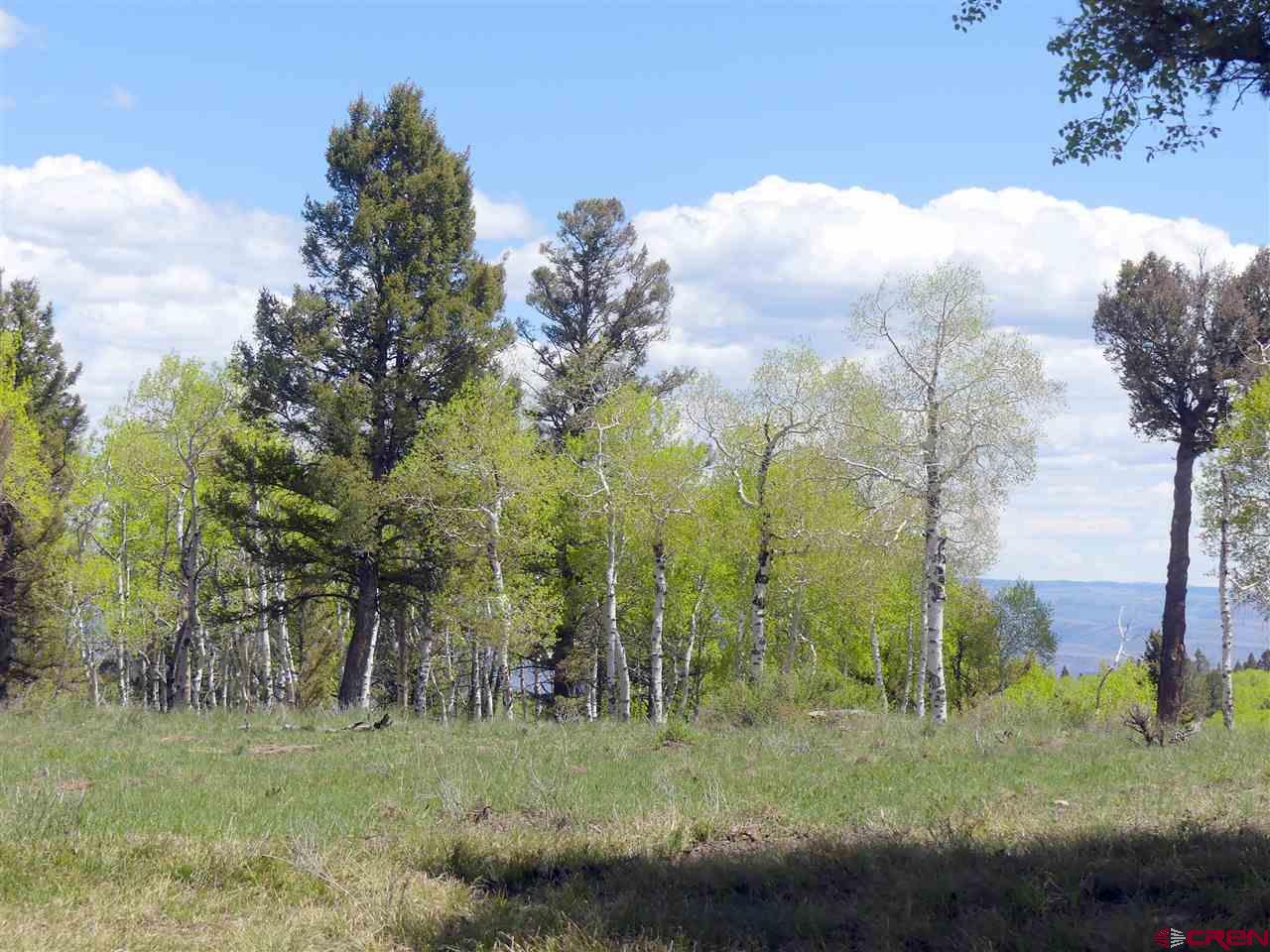 151 Ridge Road Cimarron, CO 81220 - Photo 2 of 6 Gallery Image 2