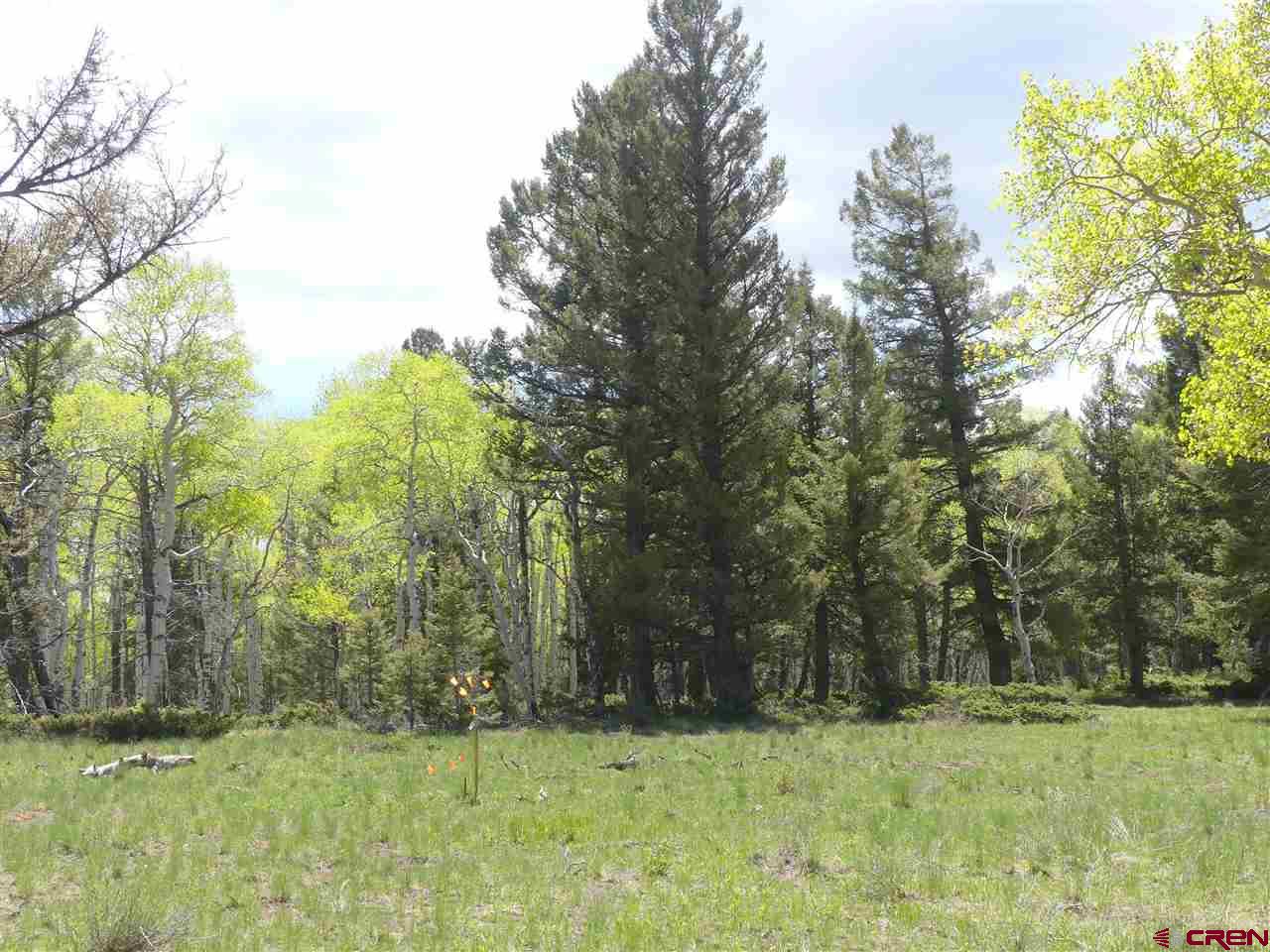 151 Ridge Road Cimarron, CO 81220 - Photo 3 of 6 Gallery Image 3