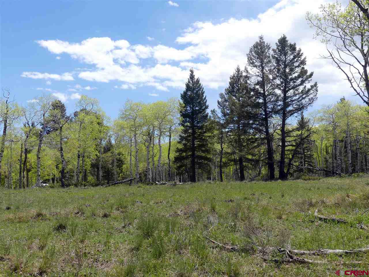 151 Ridge Road Cimarron, CO 81220 - Photo 5 of 6 Gallery Image 5