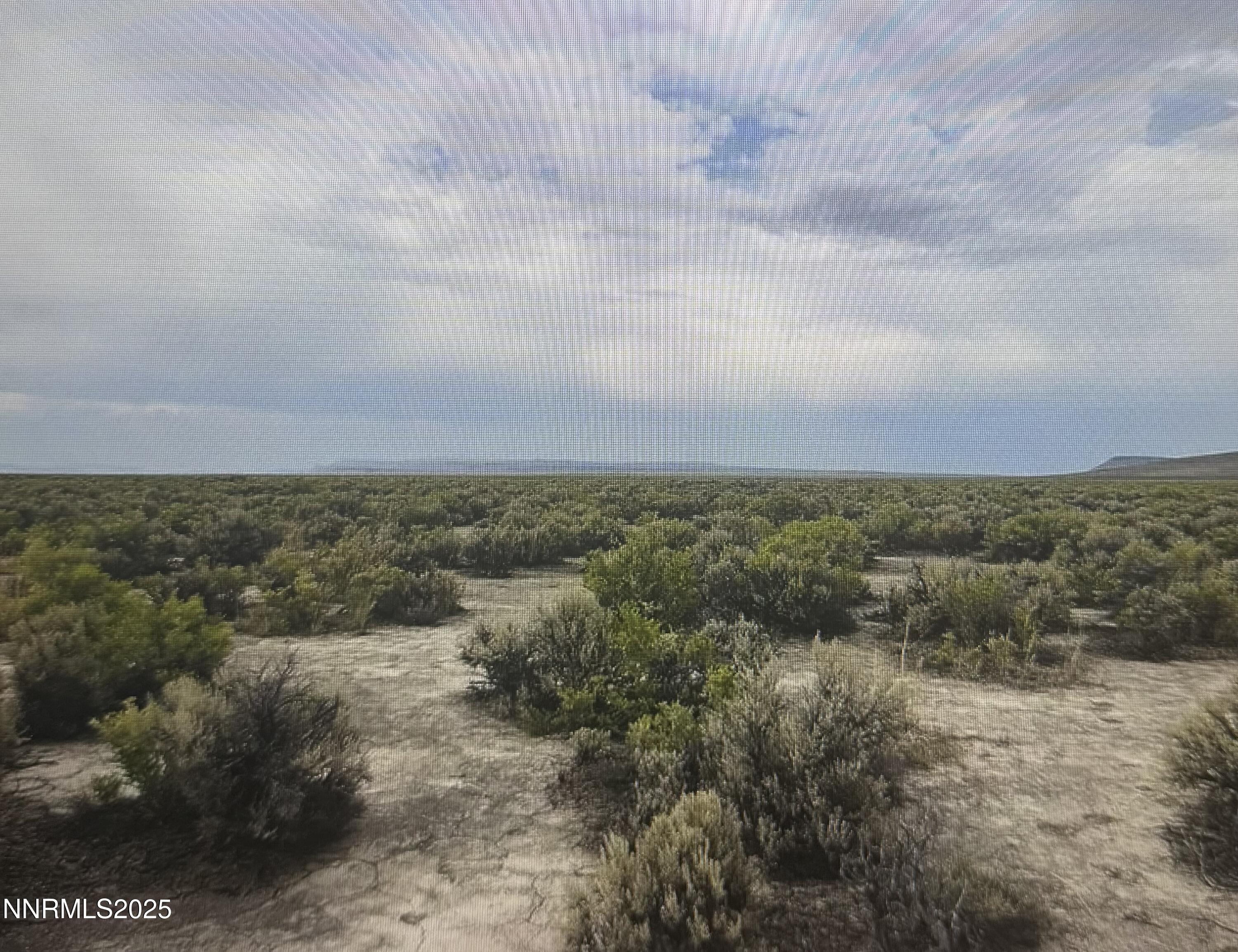 0 Tbd Gerlach, NV 89412 - Photo 7 of 7 a view of a dry yard with lots of trees