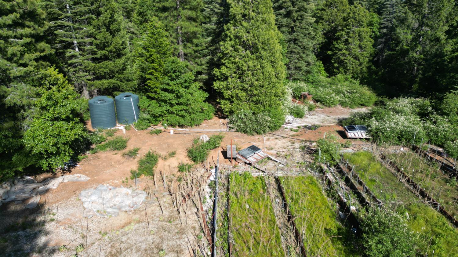 a view of yard with green space