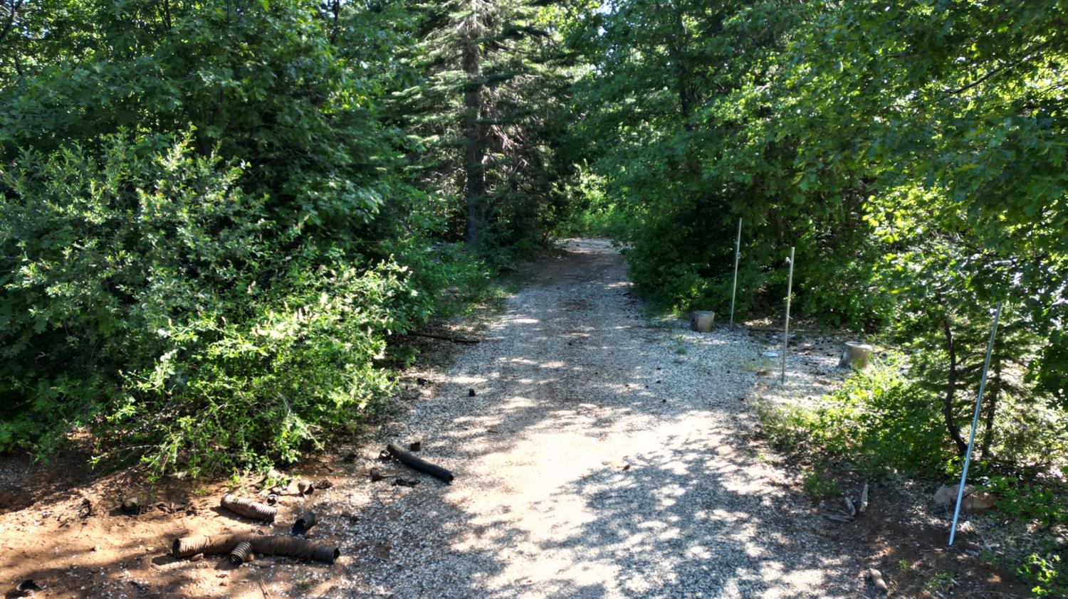 22281 Back Bone Road Nevada City, CA 95959 - Photo 12 of 26 a view of a forest with trees in the background