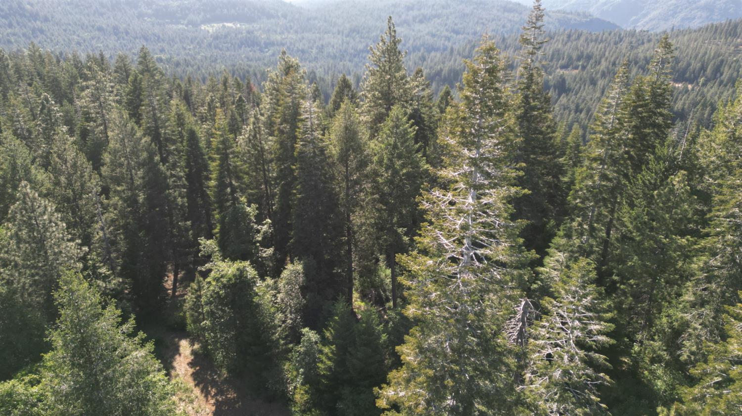 22281 Back Bone Road Nevada City, CA 95959 - Photo 13 of 26 a view of a city with lush green forest