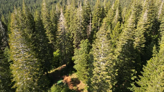 a view of a lake with a house in the background