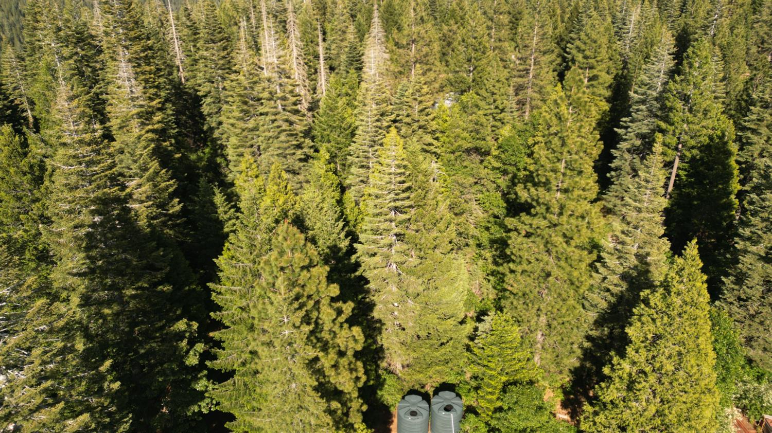 22281 Back Bone Road Nevada City, CA 95959 - Photo 15 of 26