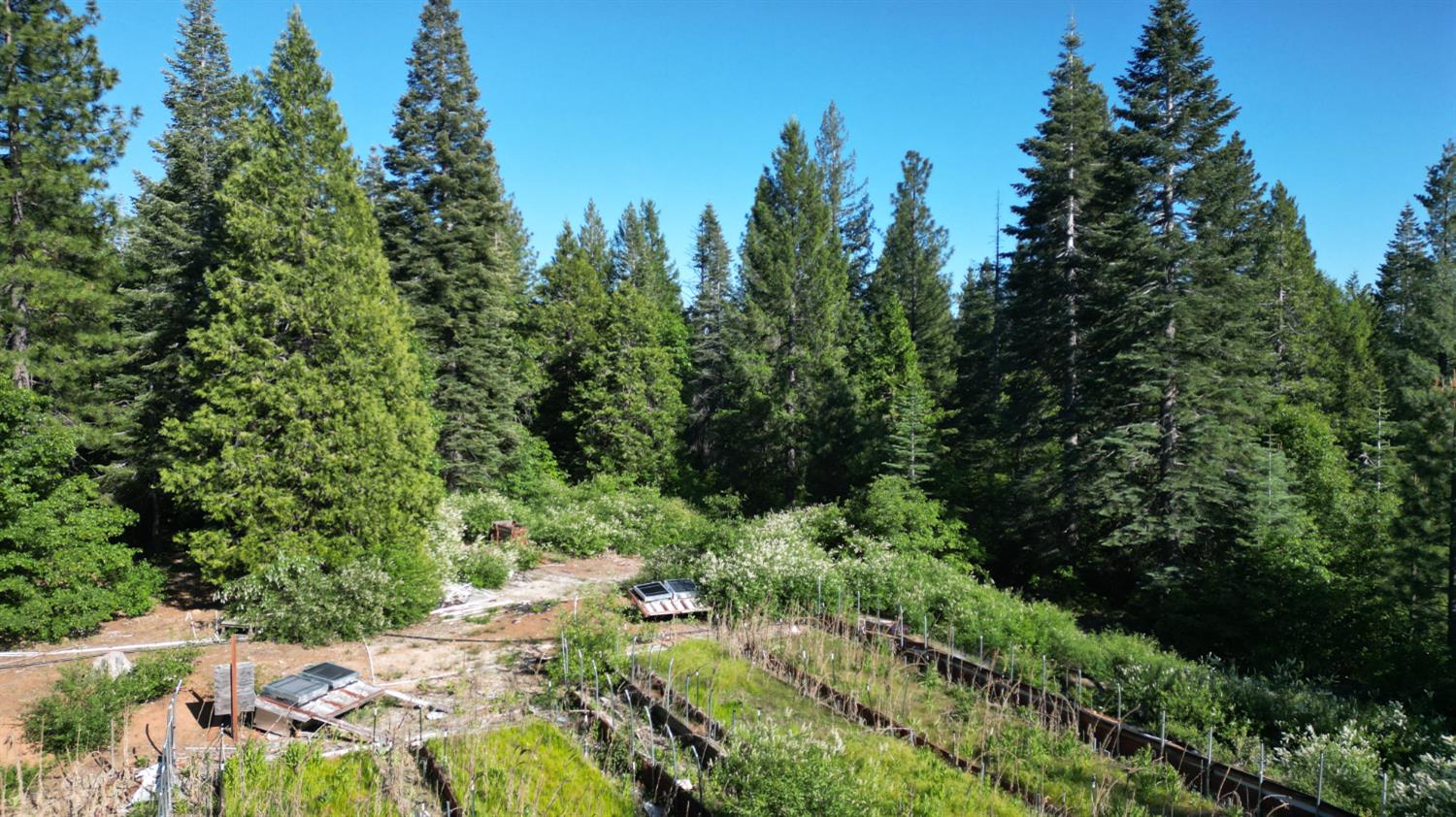 22281 Back Bone Road Nevada City, CA 95959 - Photo 19 of 26 an aerial view of residential house with outdoor space and trees all around