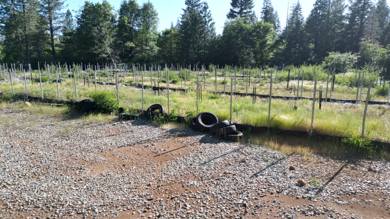 22281 Back Bone Road Nevada City, CA 95959 - Photo 2 of 26 a view of a lake with a yard and covered with tall trees