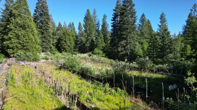 a view of a bench in a yard