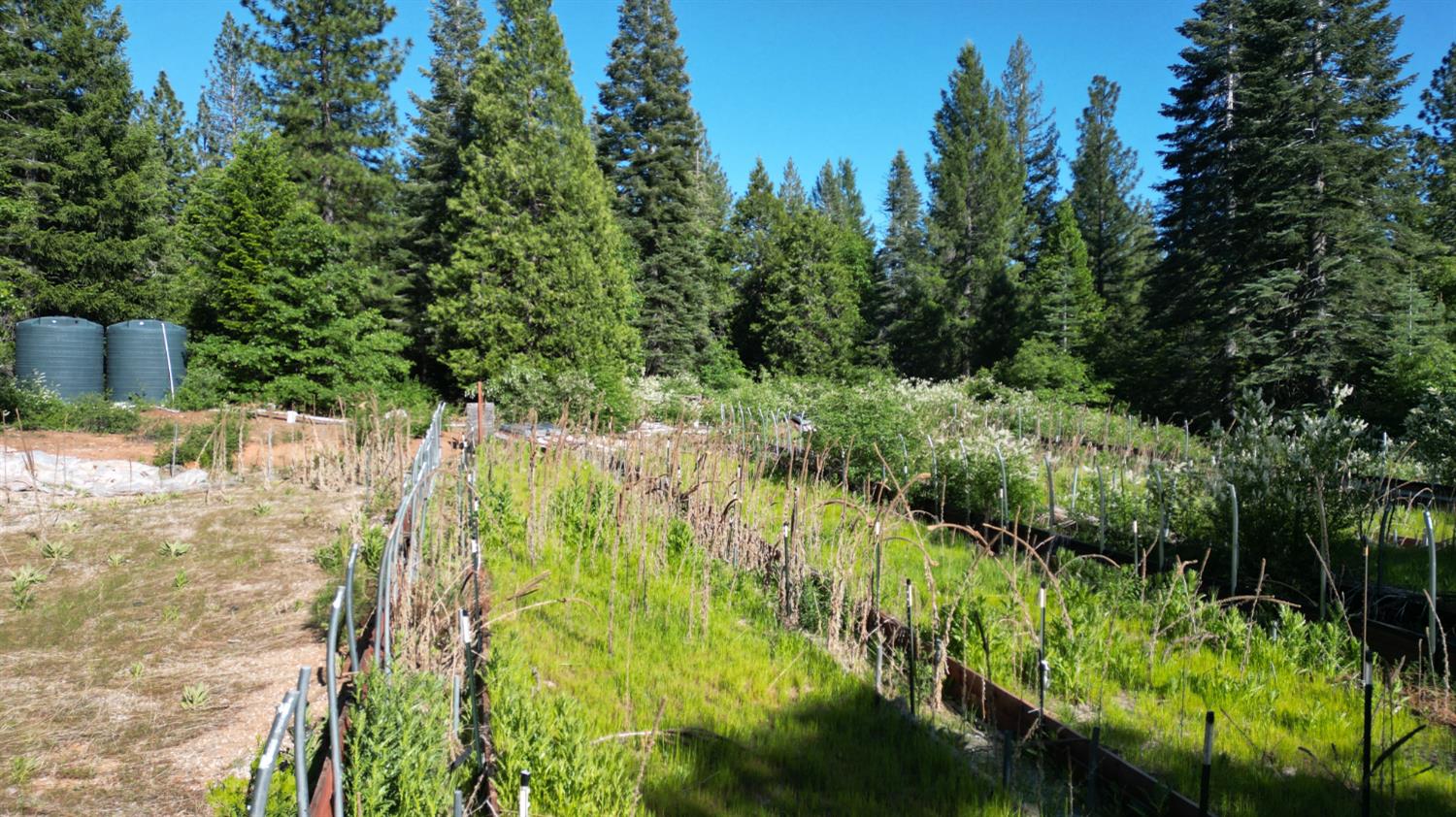 22281 Back Bone Road Nevada City, CA 95959 - Photo 22 of 26 a view of yard with small fountain