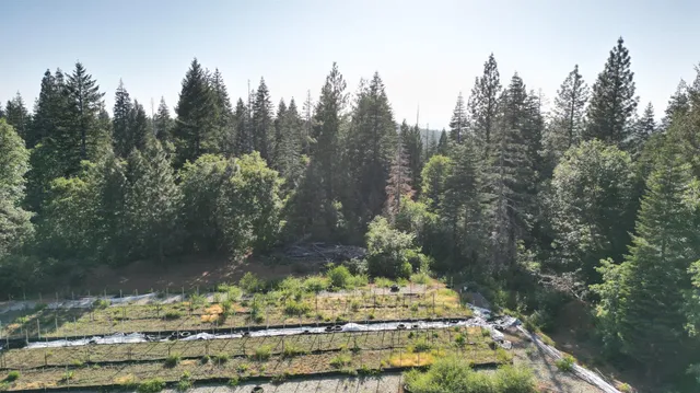 a view of a backyard of the house