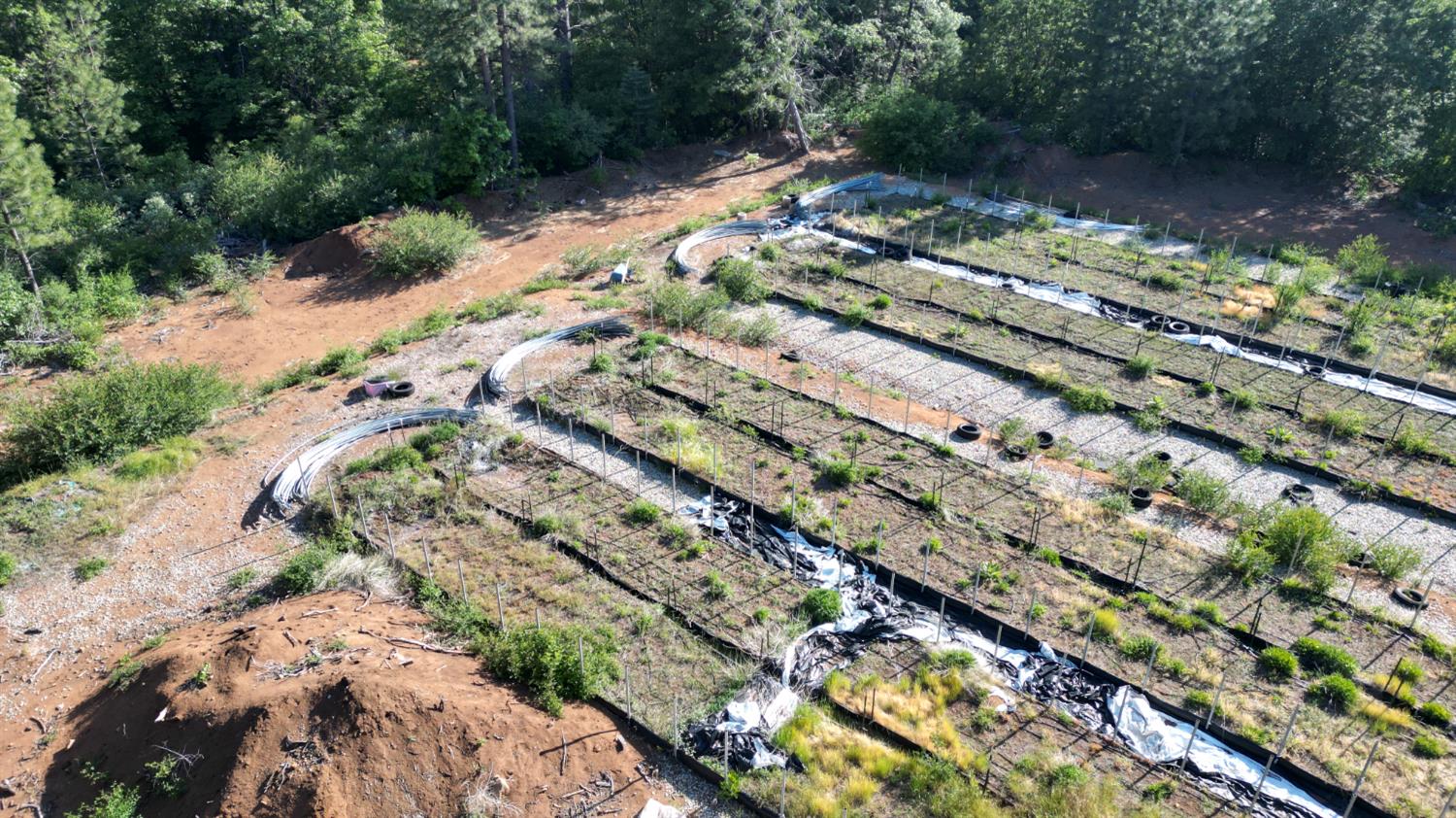 22281 Back Bone Road Nevada City, CA 95959 - Photo 6 of 26 a view of a yard with a lot of flowers