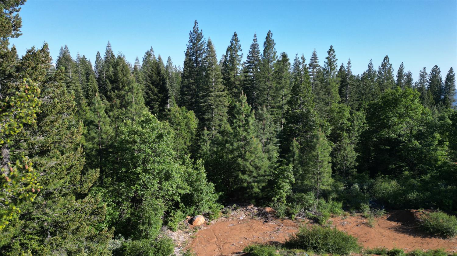 22281 Back Bone Road Nevada City, CA 95959 - Photo 7 of 26 a view of a forest with trees in front of it
