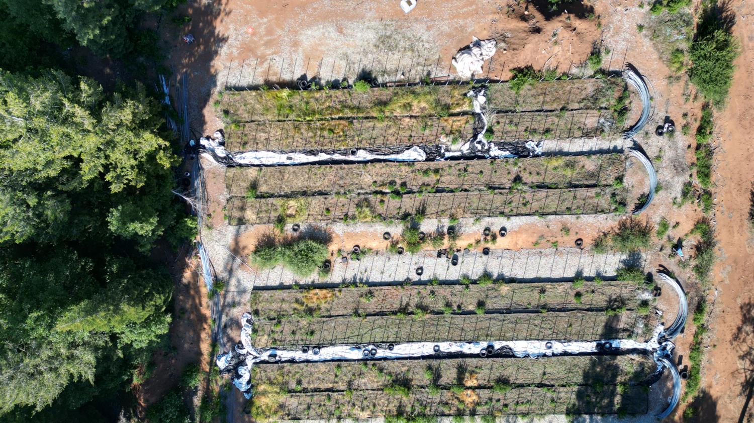 22281 Back Bone Road Nevada City, CA 95959 - Photo 8 of 26 an outdoor view of swimming pool