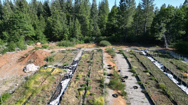 a view of outdoor space with trees