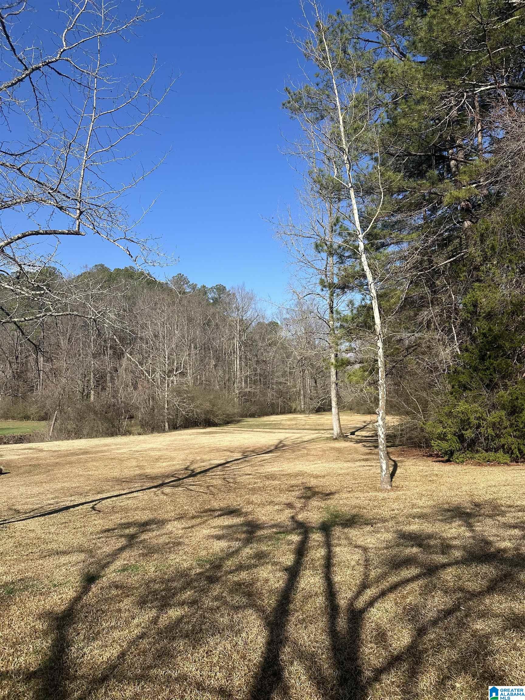 793 Jewell Road Oxford, AL 36203 - Photo 68 of 75
