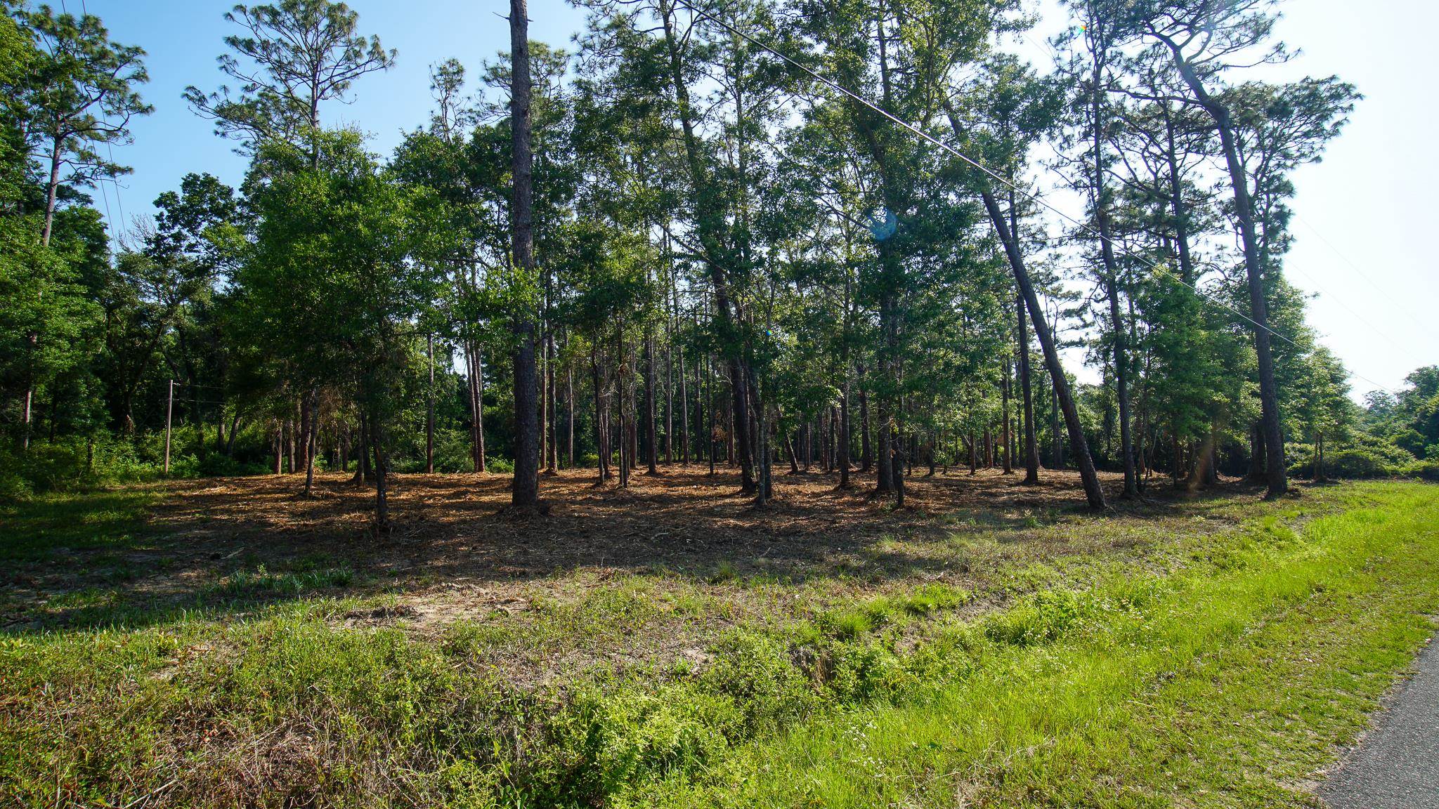 0 Antietam Road Lillian, AL 36549 - Photo 24 of 32