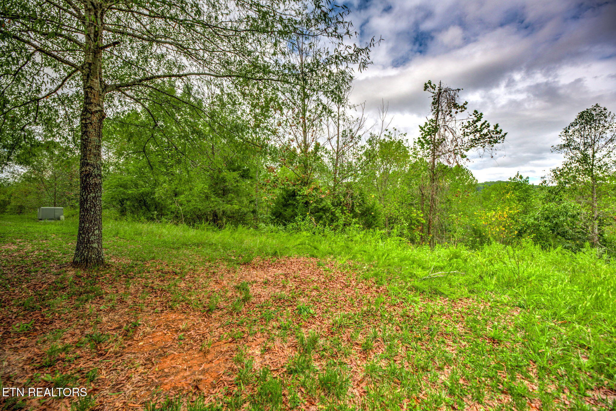 152 Pineberry East Road, Unit 166 Oak Ridge, TN 37830 - Photo 3 of 24 8-web-or-mls-DSC_4548_49_50