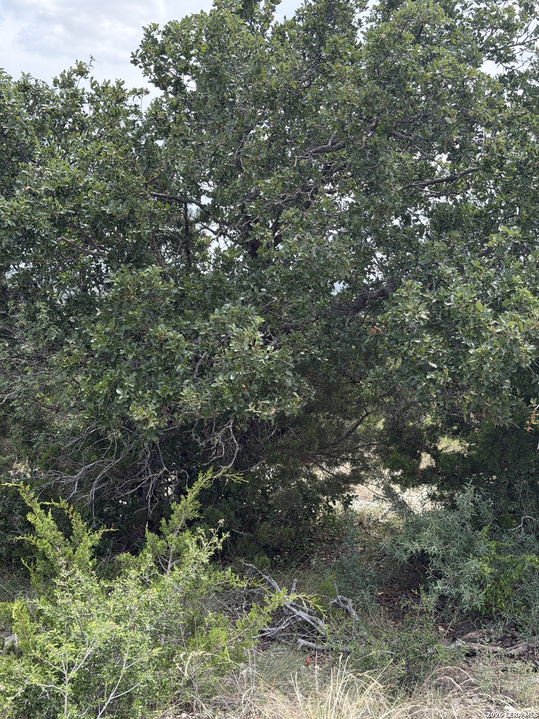 45730 St Rocksprings Tx 78880 Rocksprings, TX 78880 - Photo 26 of 42