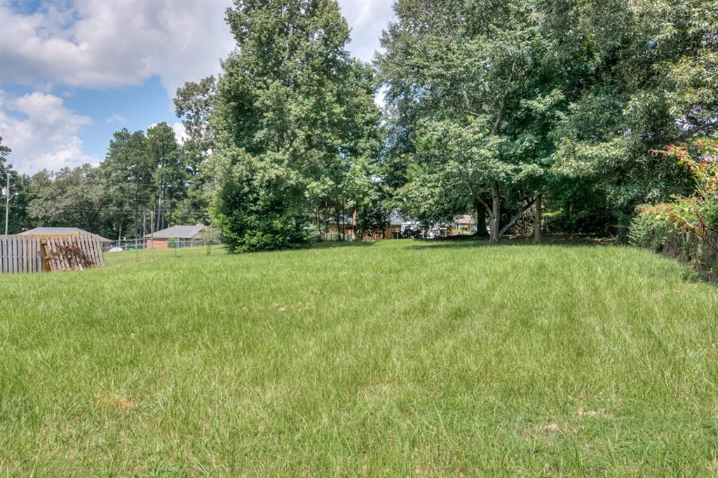 1012 Cedarview Circle Hephzibah, GA 30815 - Photo 18 of 20