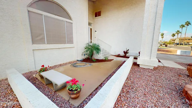 a living room with a bed and a potted plant