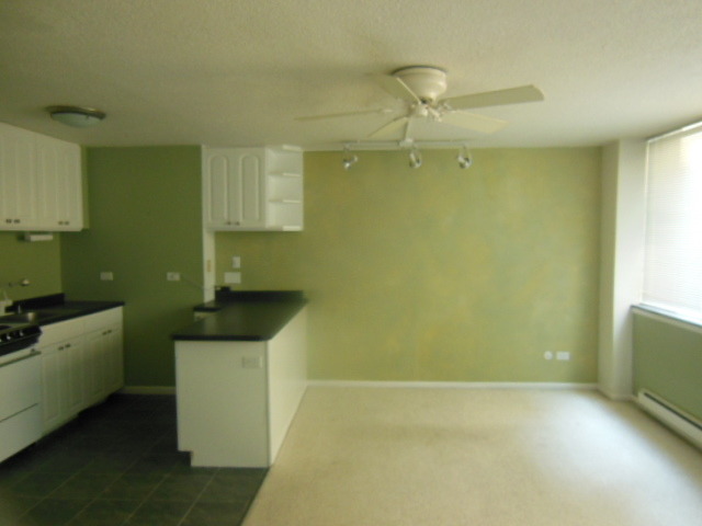 3110 North Sheridan Road, Unit 1203 Chicago, IL 60657 - Photo 2 of 12