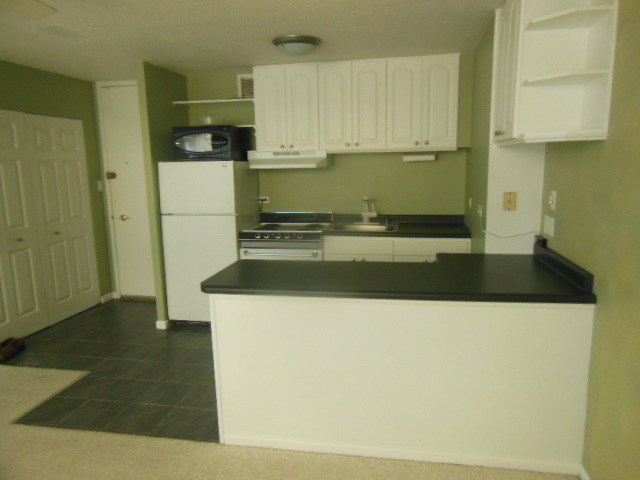 3110 North Sheridan Road, Unit 1203 Chicago, IL 60657 - Photo 3 of 12
