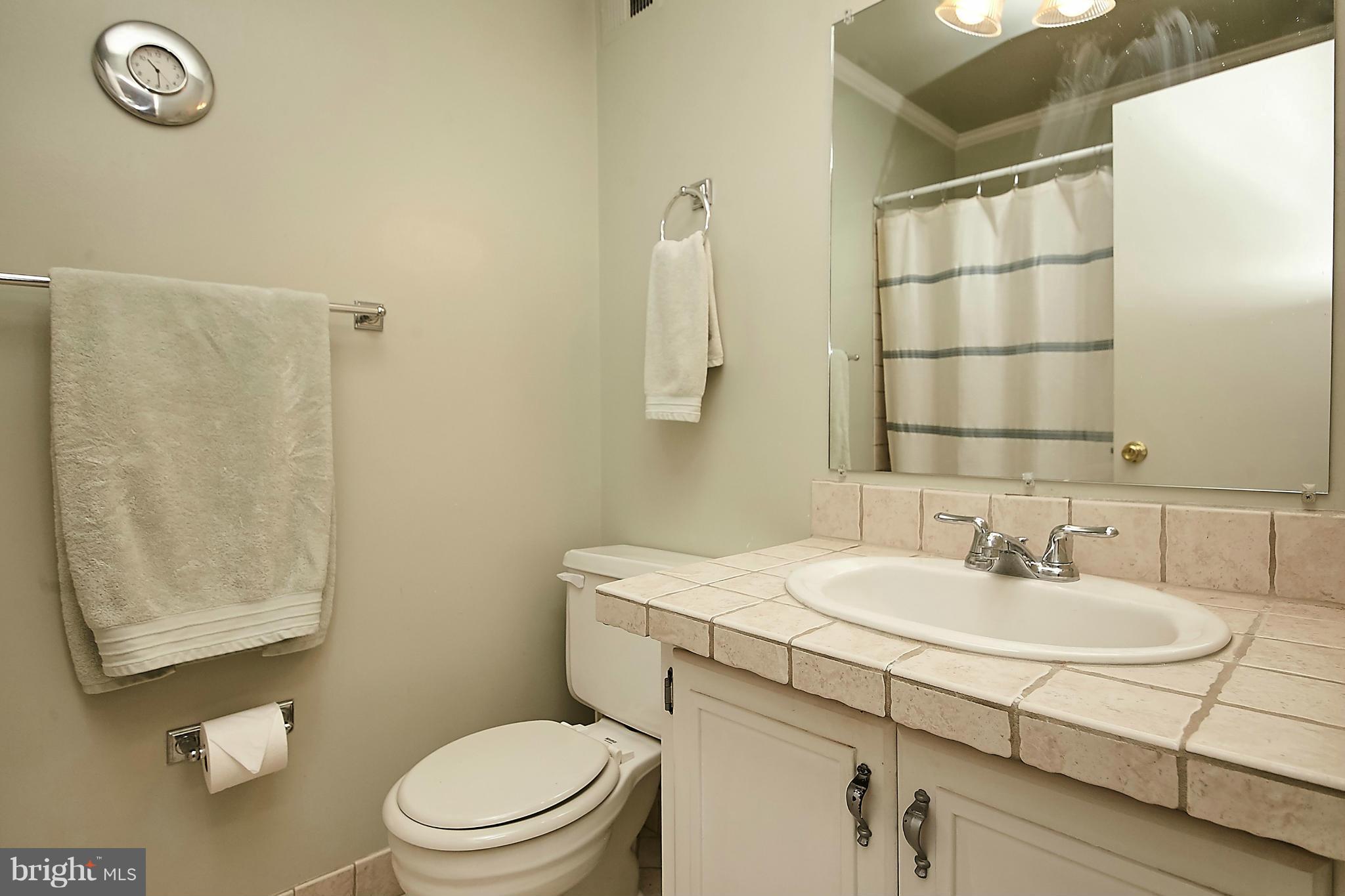 2019 Winged Foot Court Reston, VA 20191 - Photo 18 of 30 Bath (Master)