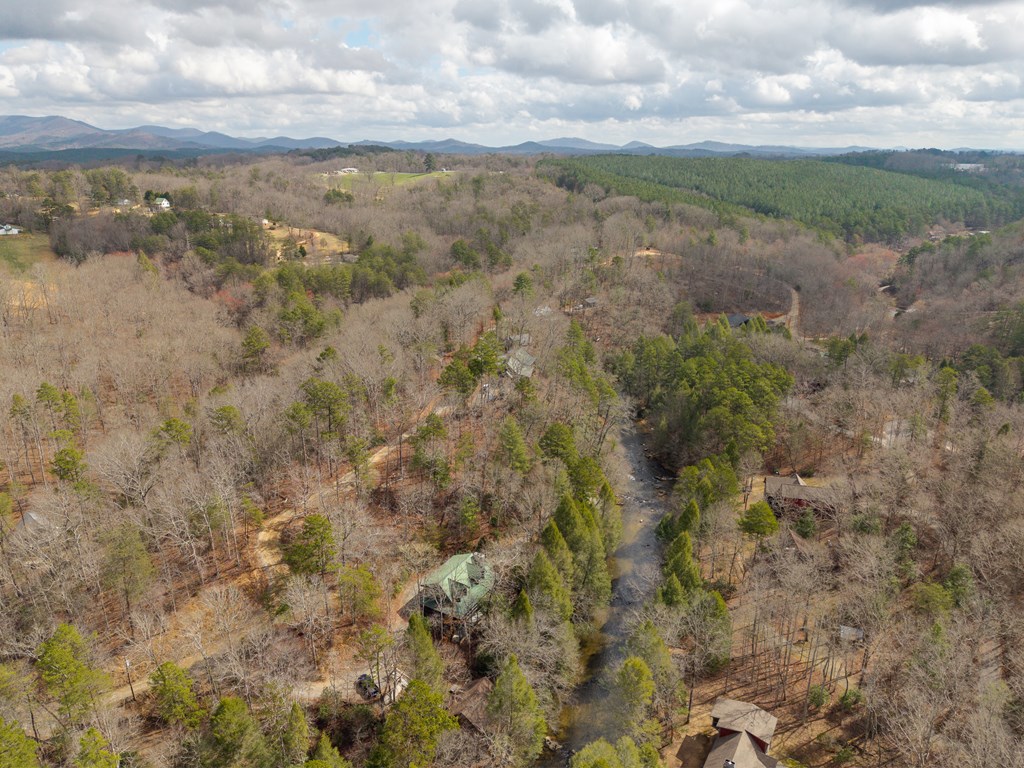 252 Branch Creek Road Blue Ridge, GA 30513 - Photo 21 of 79 Gallery Image 21